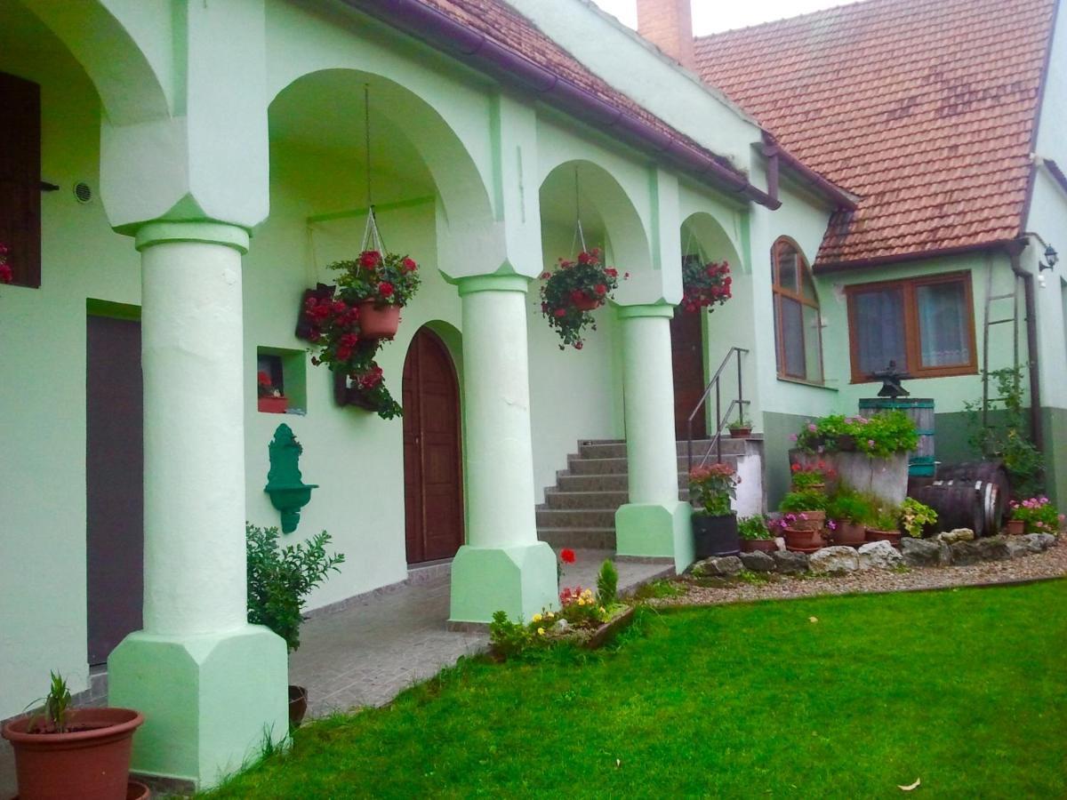 Na úpatí Pálavy Hotel Horni Vestonice Exterior foto