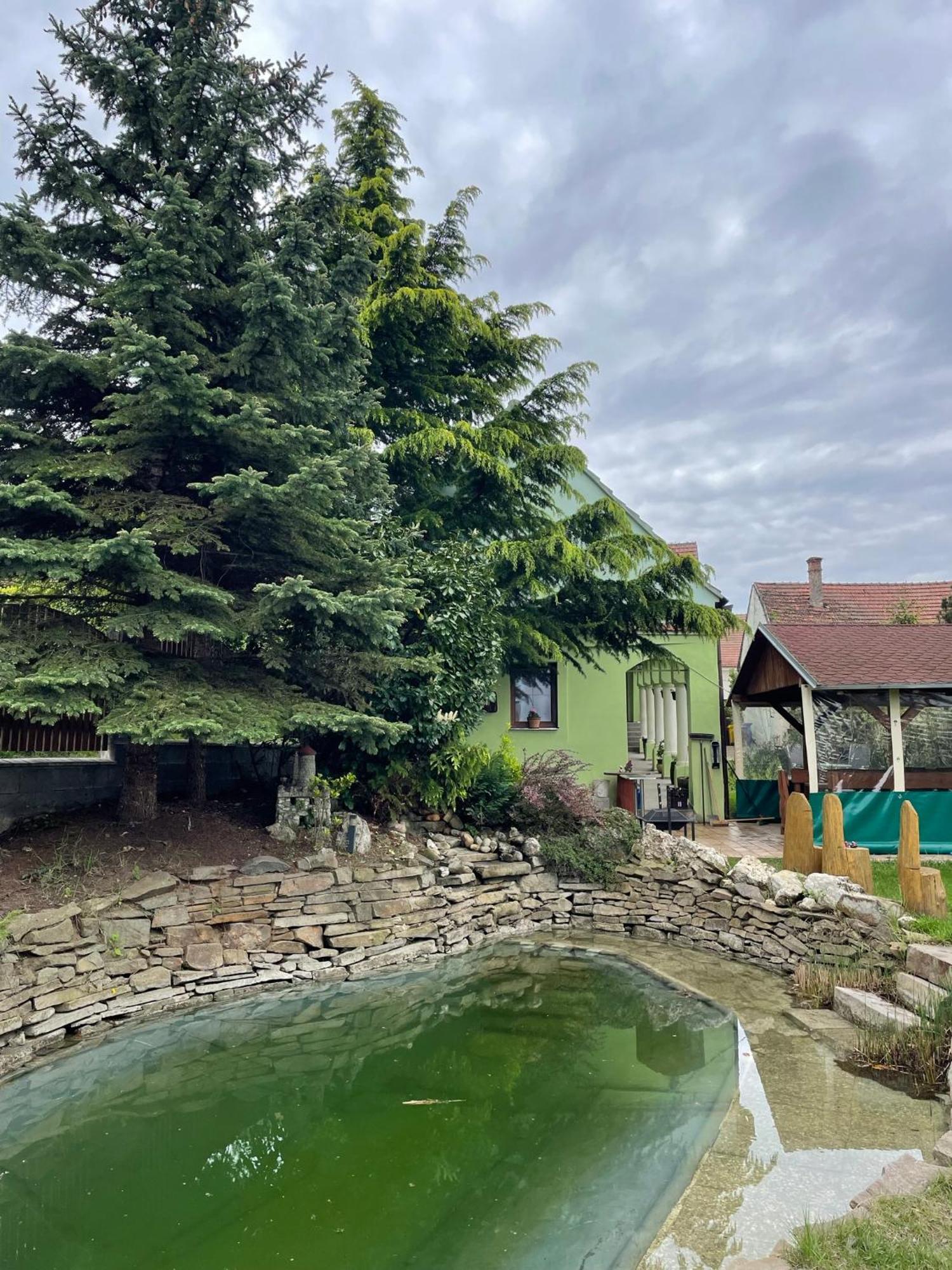 Na úpatí Pálavy Hotel Horni Vestonice Exterior foto