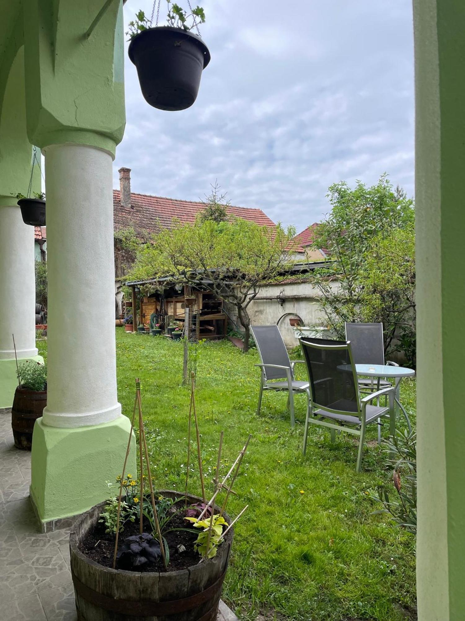 Na úpatí Pálavy Hotel Horni Vestonice Exterior foto