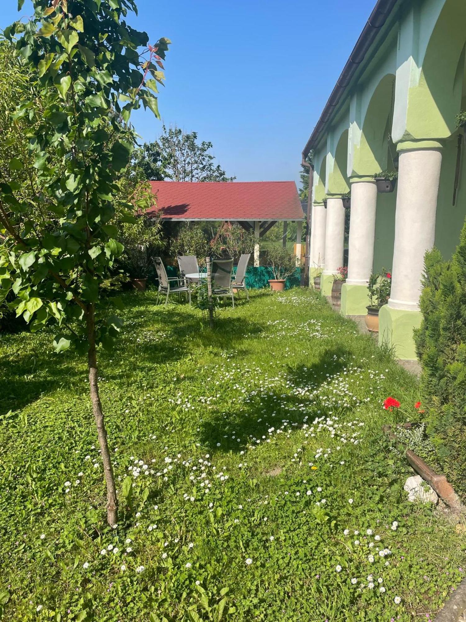 Na úpatí Pálavy Hotel Horni Vestonice Exterior foto